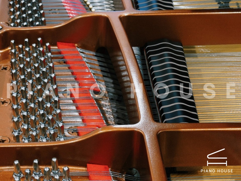 navy ostrich watch bands (4)