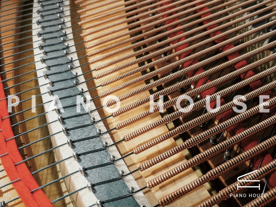 navy ostrich watch bands (4)