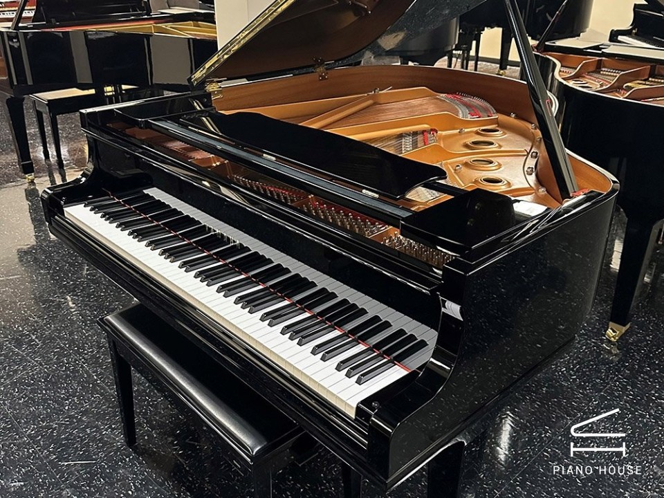 navy ostrich watch bands (4)