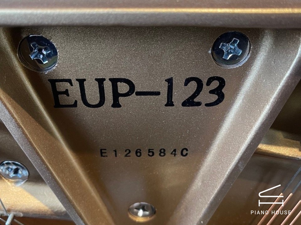 navy ostrich watch bands (4)