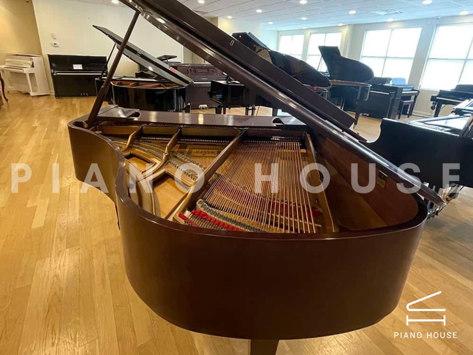 navy ostrich watch bands (4)