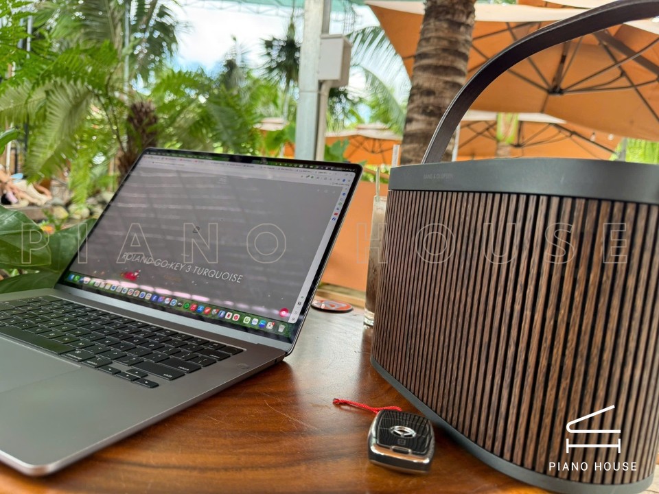 Loa B&O Beosound A5 Dark Oak (Used)