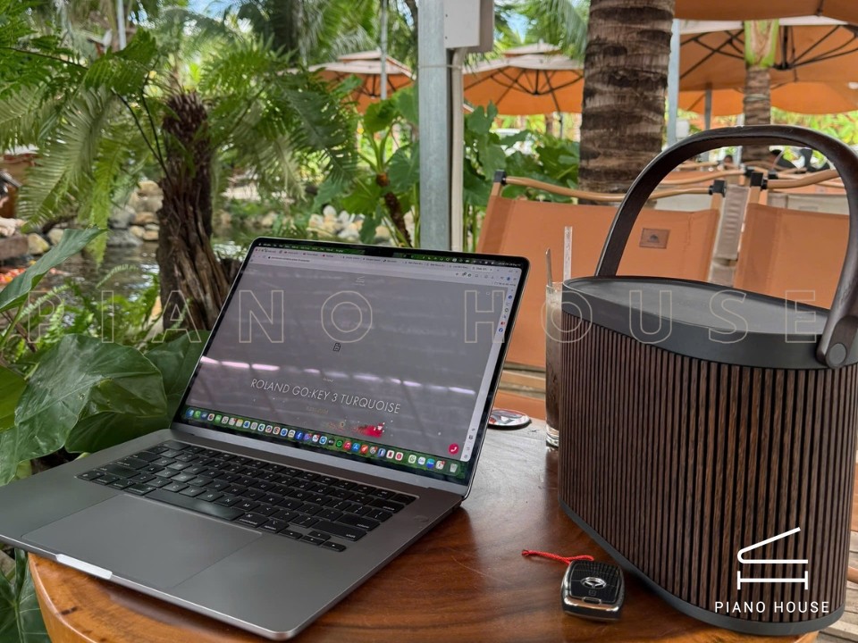 Loa B&O Beosound A5 Dark Oak (Used)