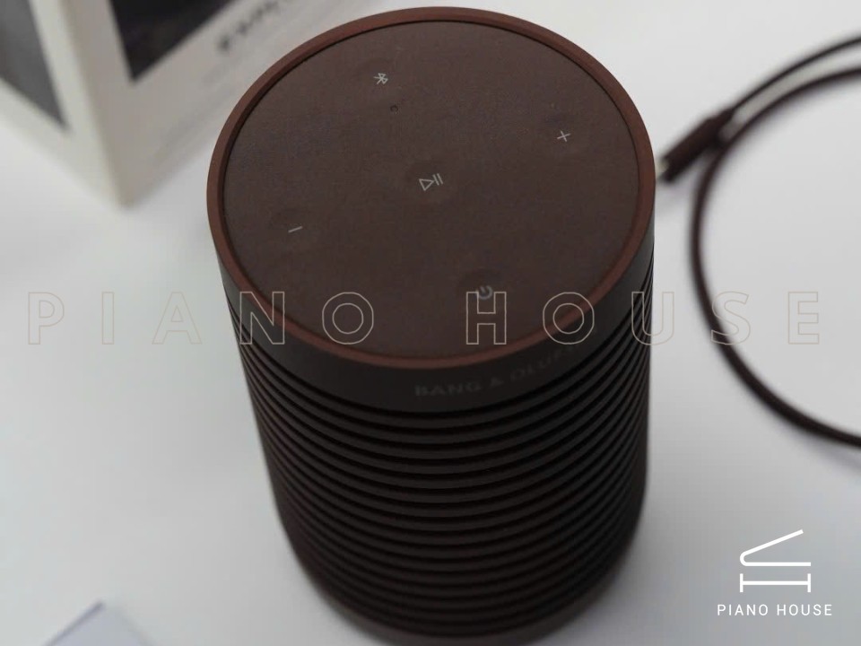 Loa B&O Beosound Explore (Chestnut)