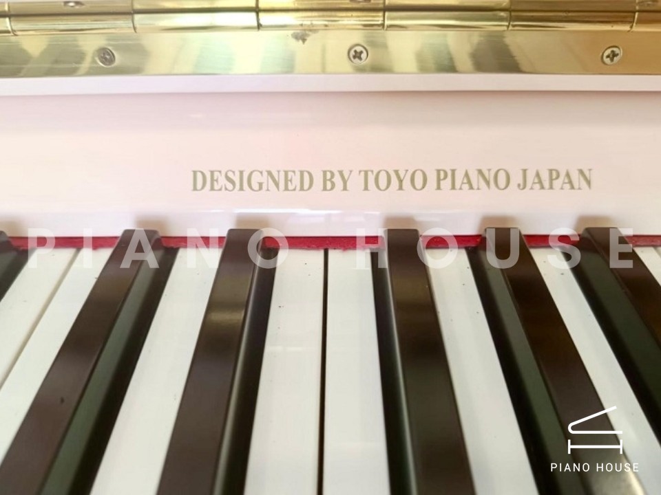 navy ostrich watch bands (4)