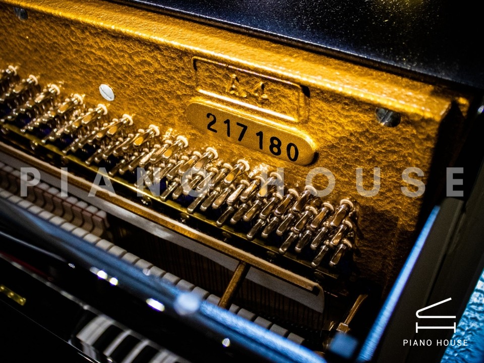 navy ostrich watch bands (4)