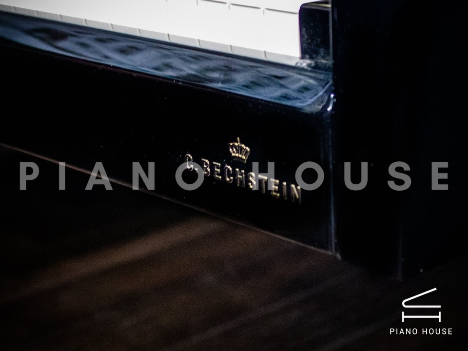 navy ostrich watch bands (4)