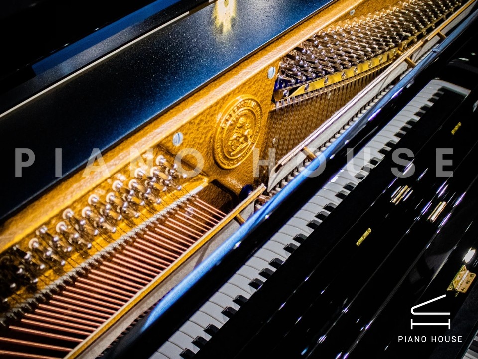 navy ostrich watch bands (4)