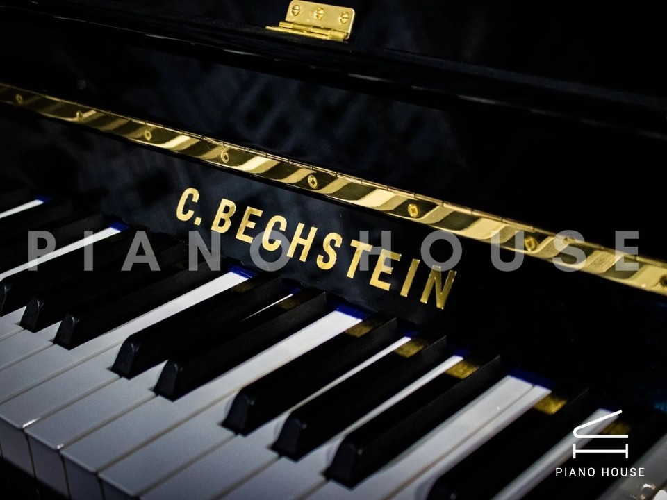 navy ostrich watch bands (4)