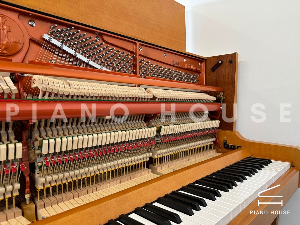 navy ostrich watch bands (4)