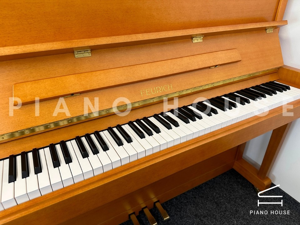 navy ostrich watch bands (4)