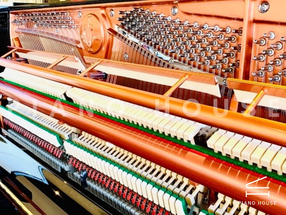 navy ostrich watch bands (4)