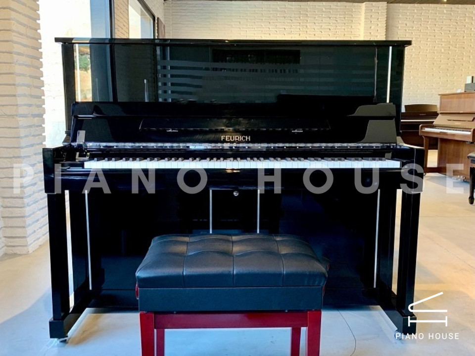 navy ostrich watch bands (4)