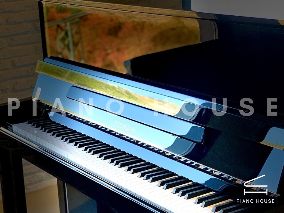 navy ostrich watch bands (4)