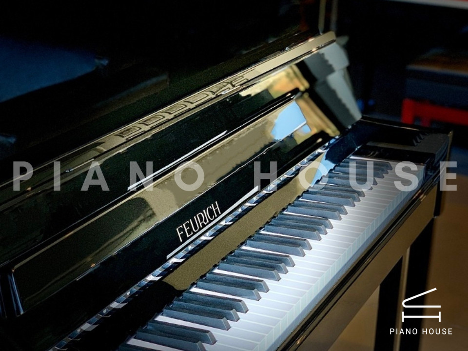 navy ostrich watch bands (4)