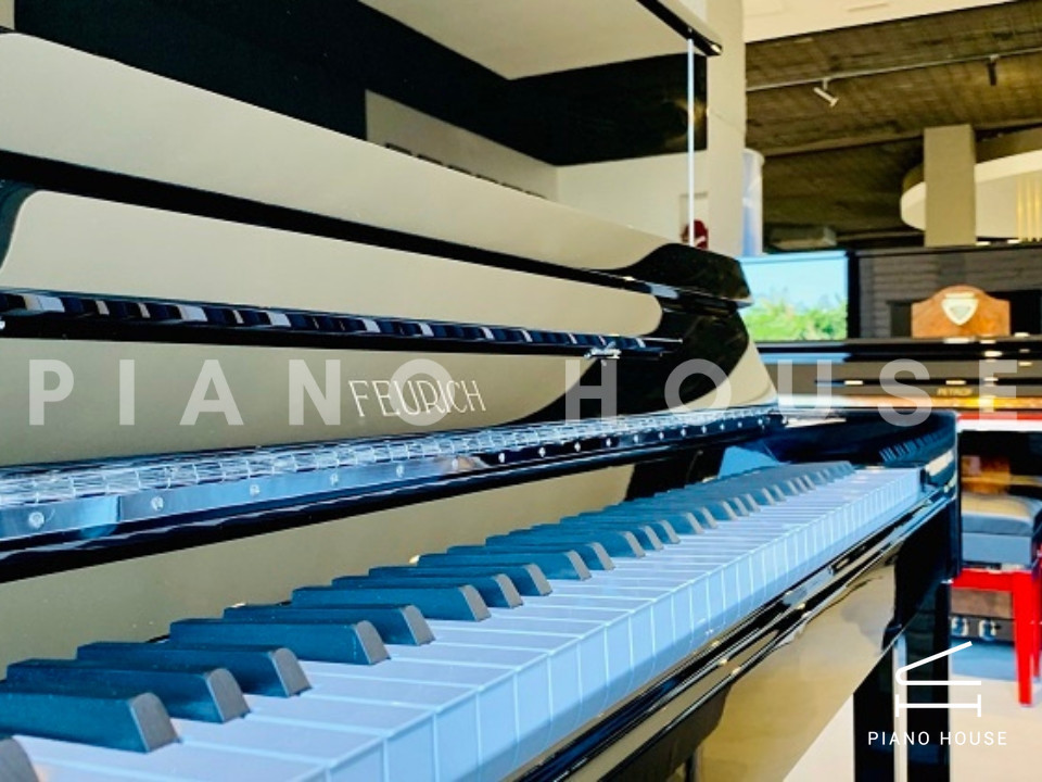 navy ostrich watch bands (4)