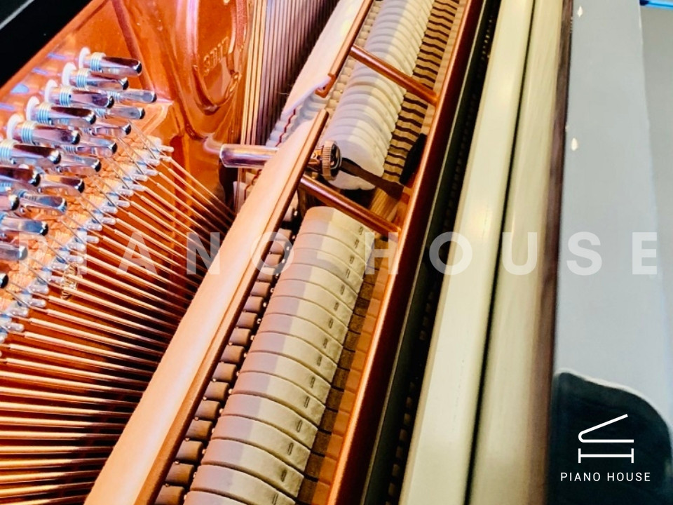 navy ostrich watch bands (4)