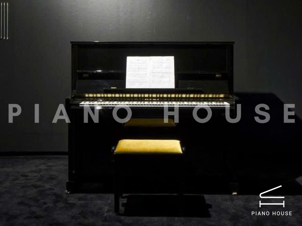 navy ostrich watch bands (4)