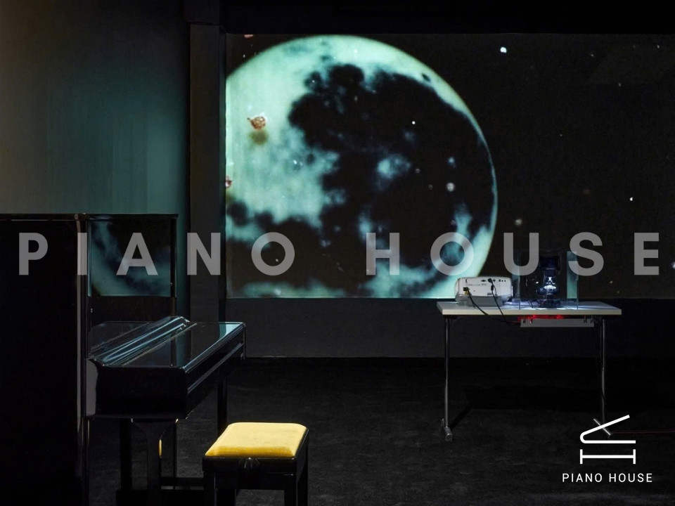 navy ostrich watch bands (4)