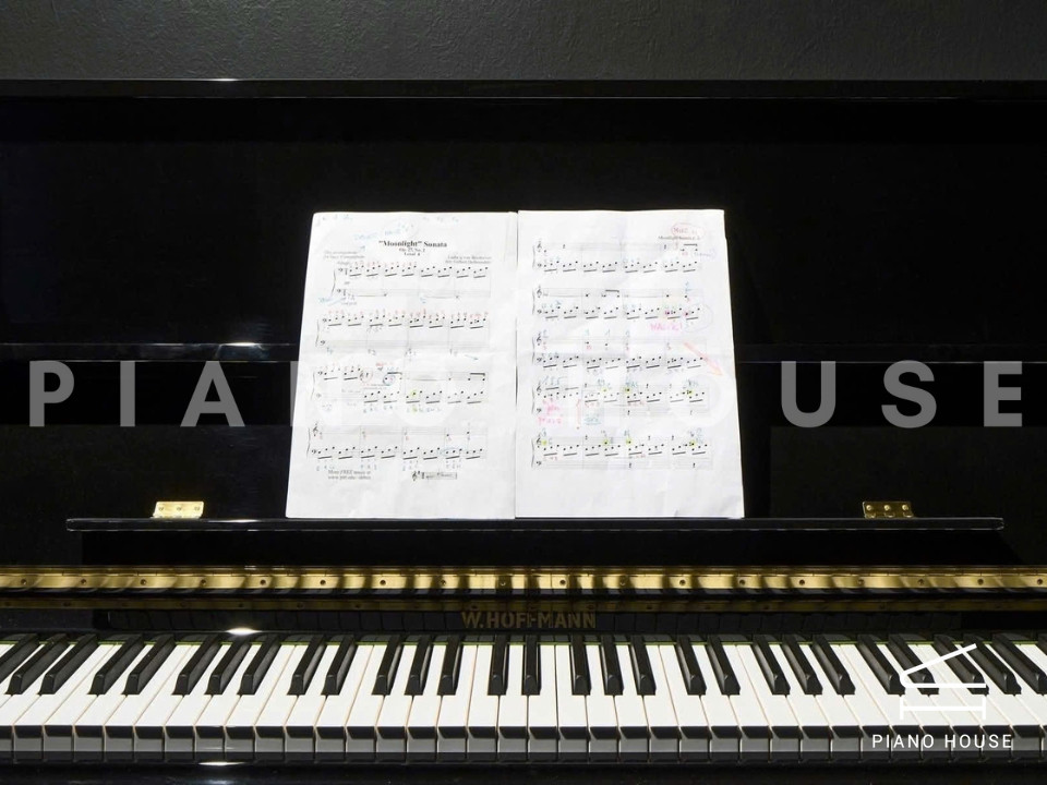 navy ostrich watch bands (4)