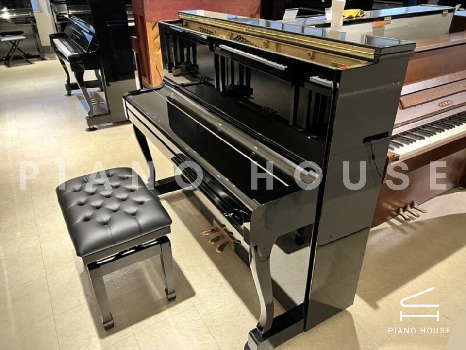 navy ostrich watch bands (4)