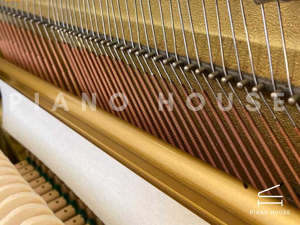 navy ostrich watch bands (4)