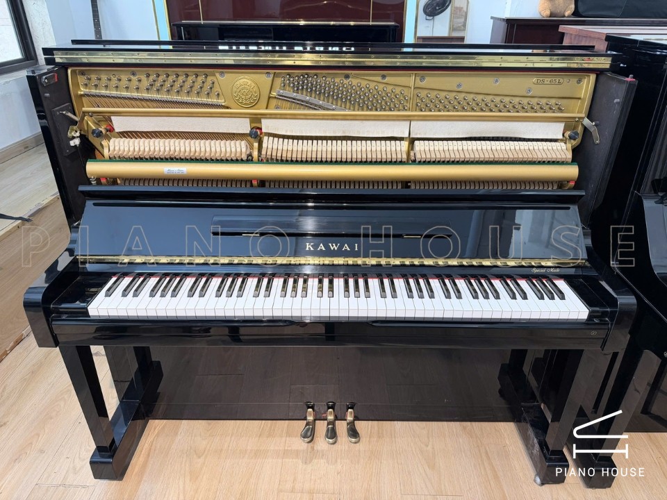 KAWAI DS-65L