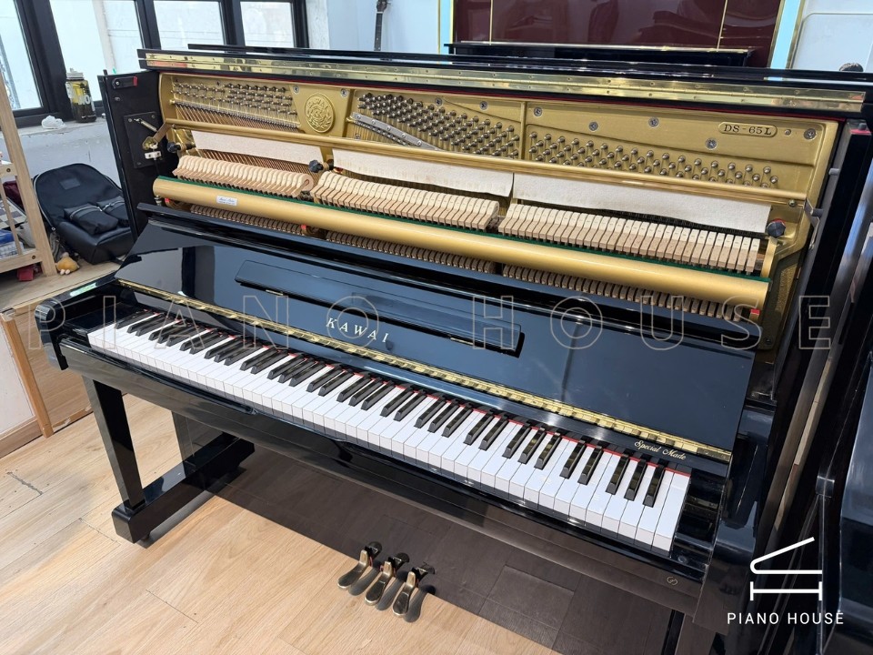 KAWAI DS-65L