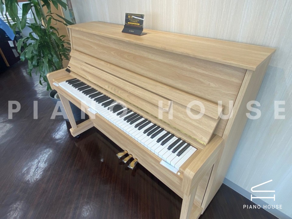 navy ostrich watch bands (4)