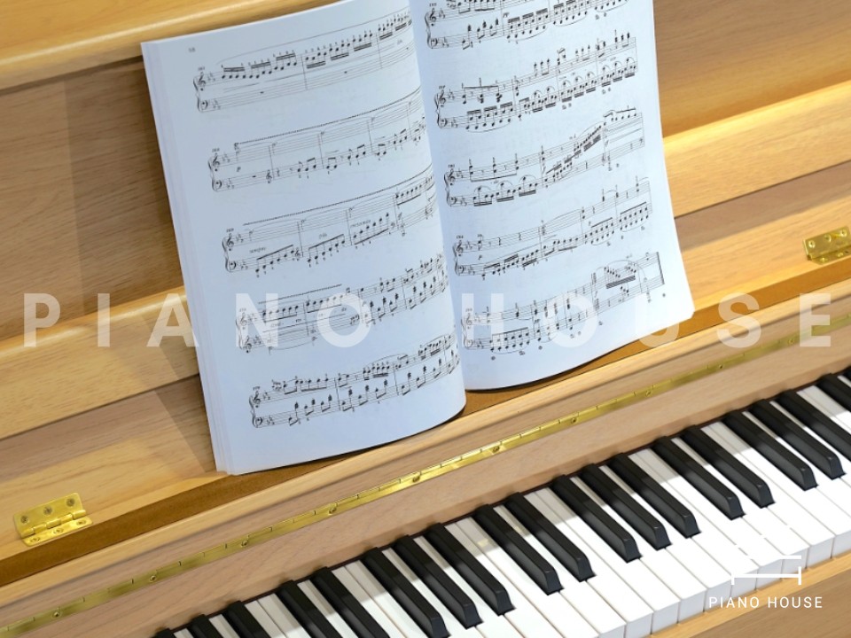 navy ostrich watch bands (4)