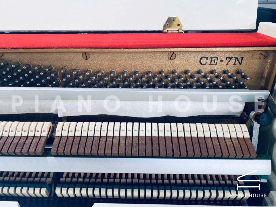 navy ostrich watch bands (4)