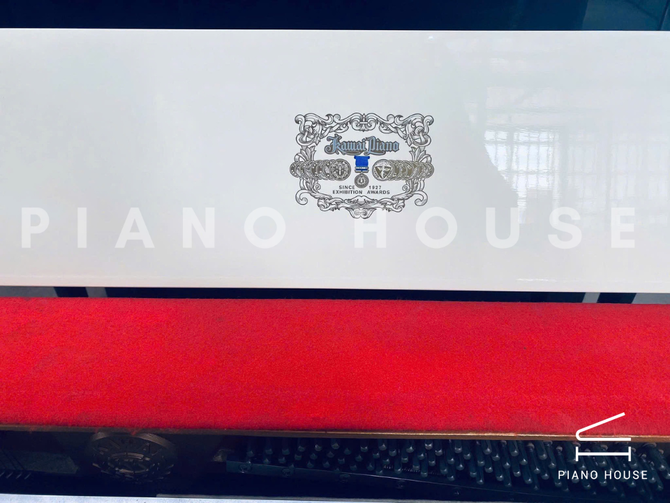 navy ostrich watch bands (4)