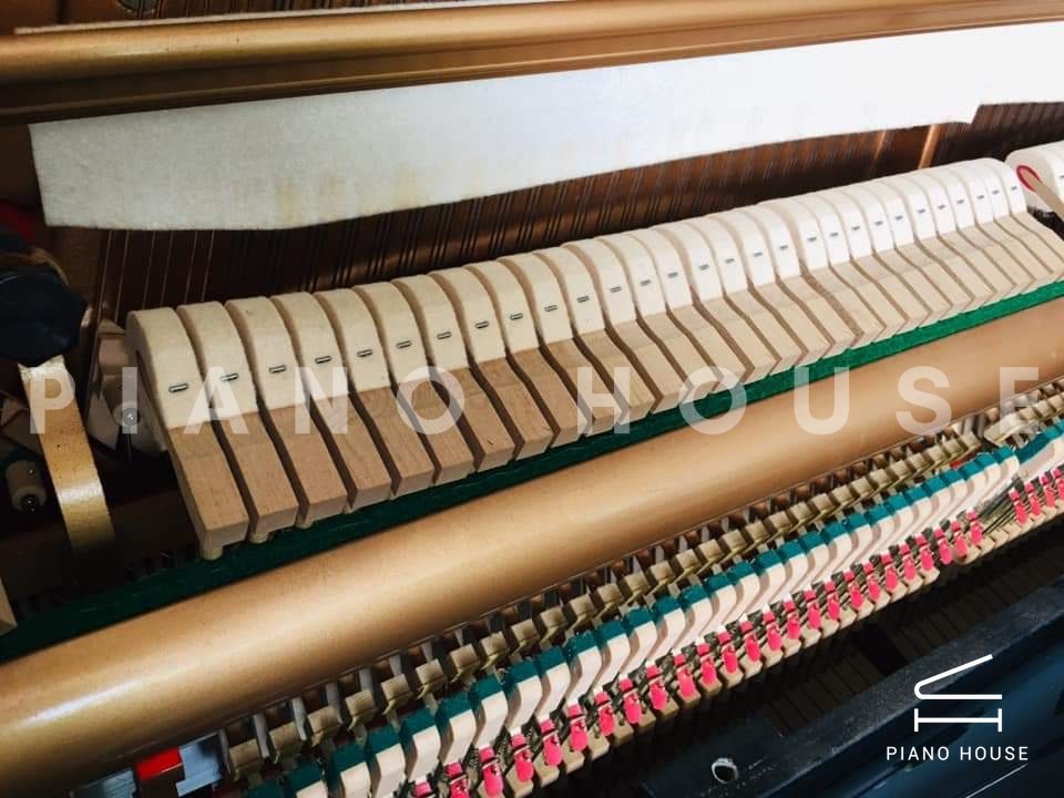 navy ostrich watch bands (4)