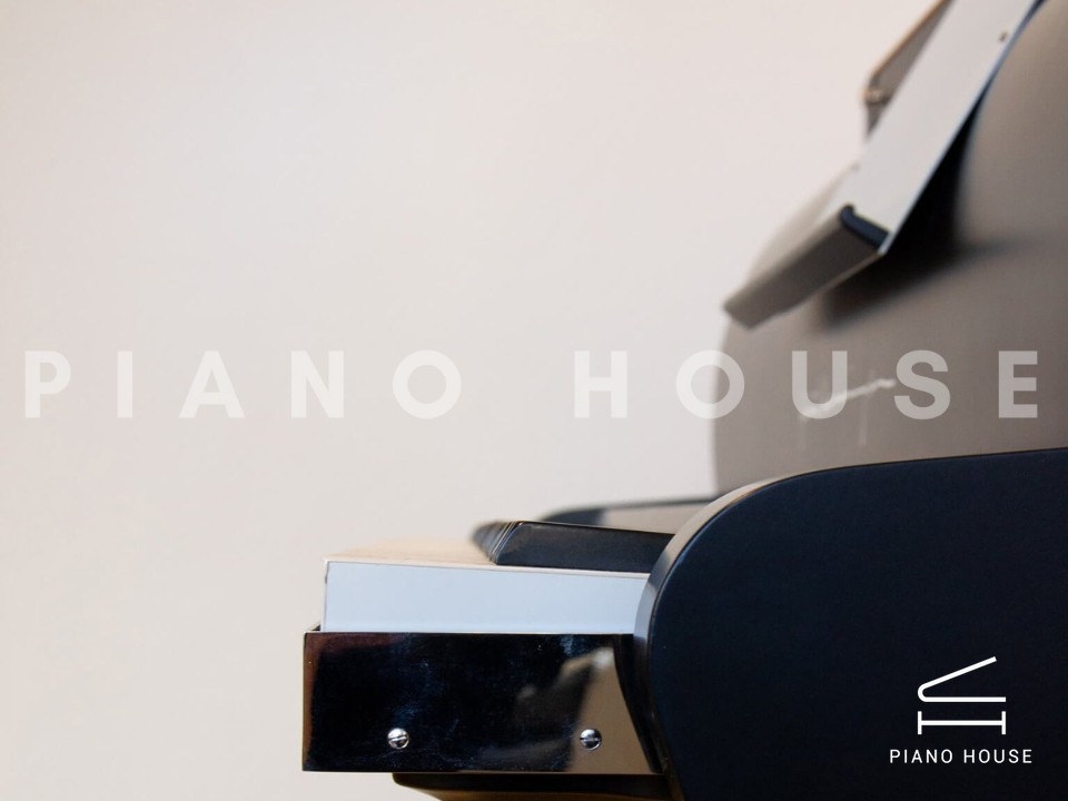 navy ostrich watch bands (4)