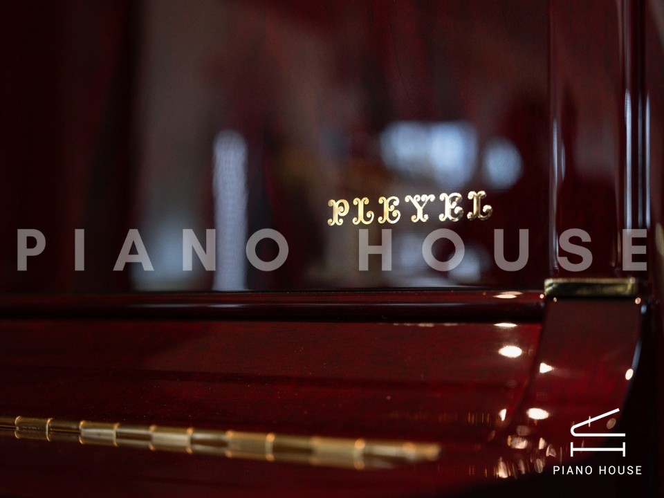 navy ostrich watch bands (4)