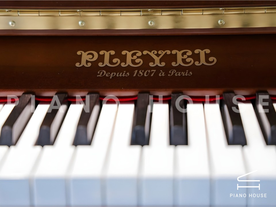 navy ostrich watch bands (4)