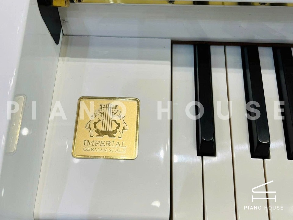 navy ostrich watch bands (4)