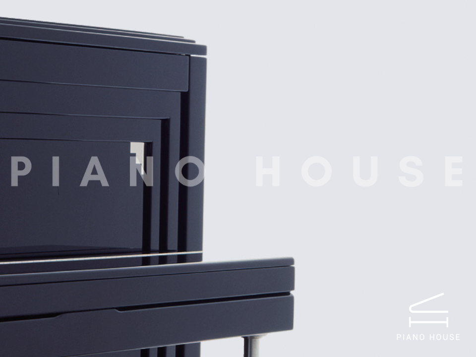 navy ostrich watch bands (4)