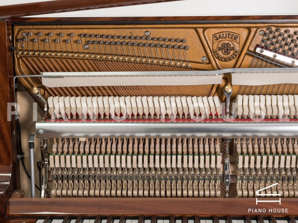 navy ostrich watch bands (4)