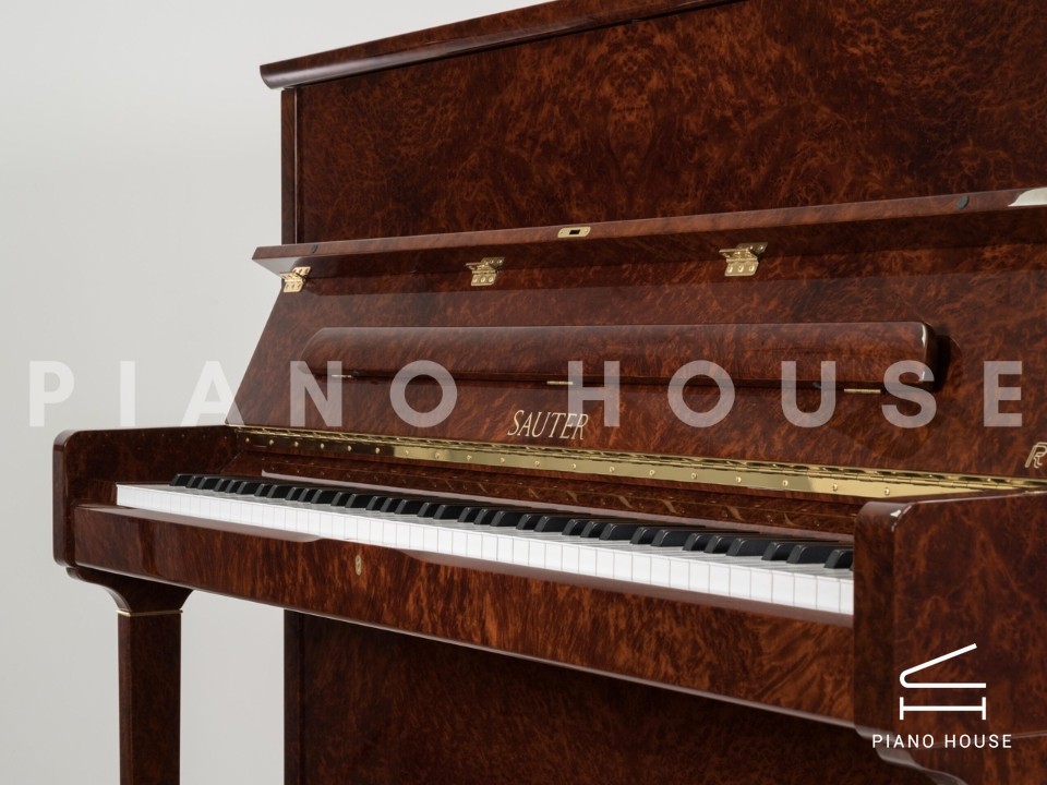 navy ostrich watch bands (4)