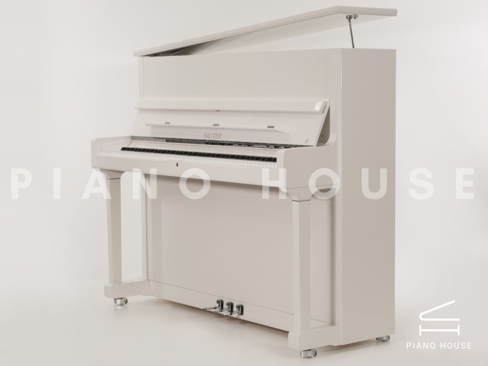 navy ostrich watch bands (4)