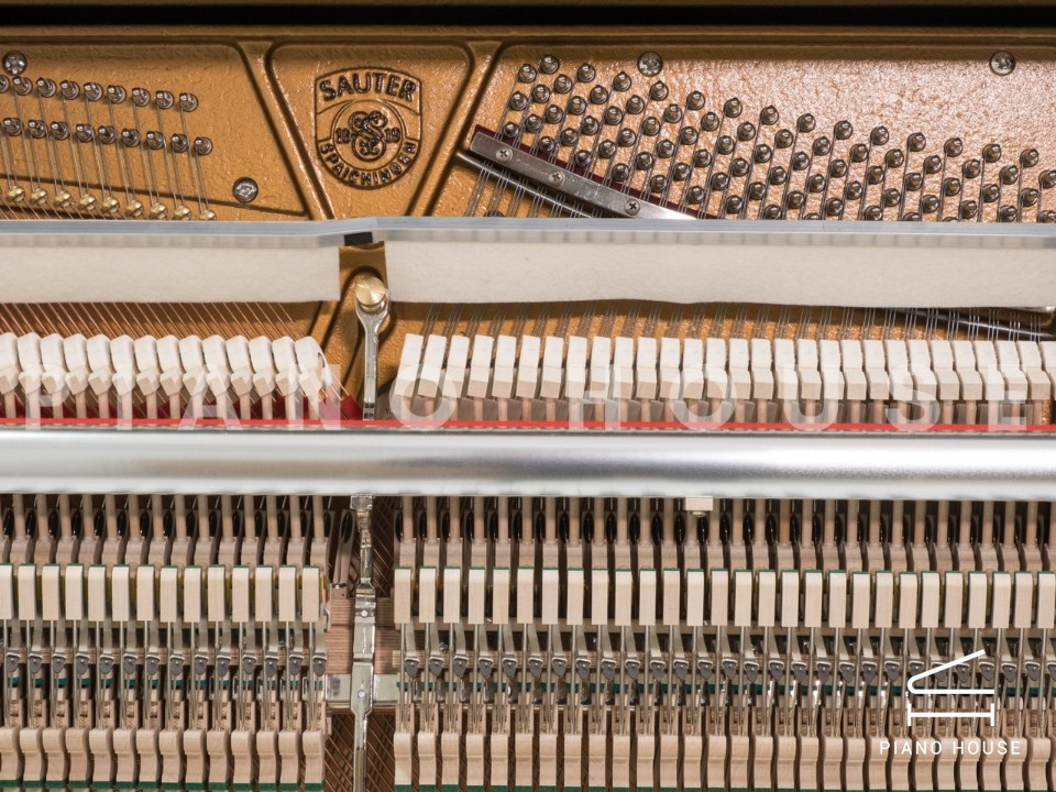 navy ostrich watch bands (4)