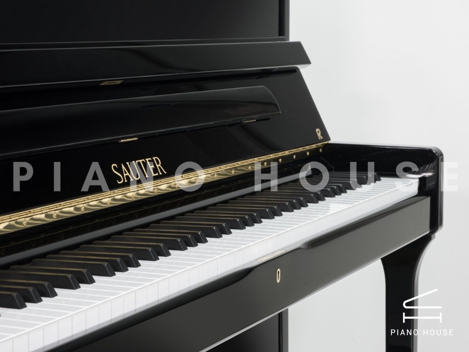 navy ostrich watch bands (4)