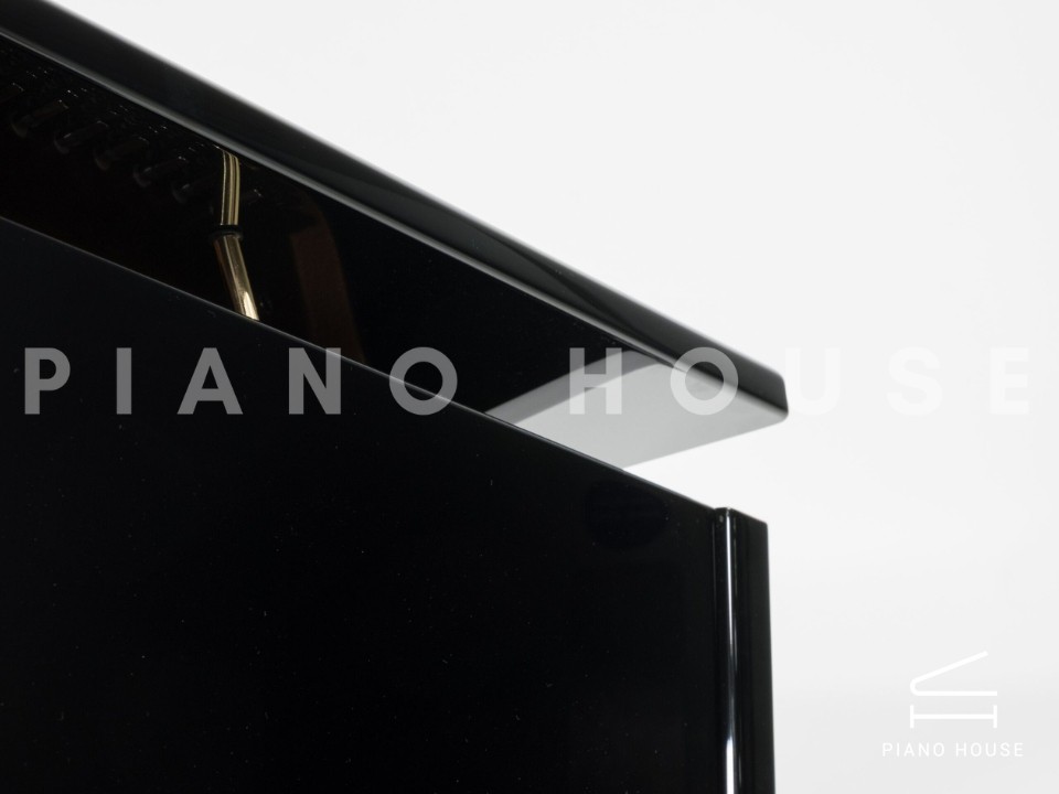 navy ostrich watch bands (4)