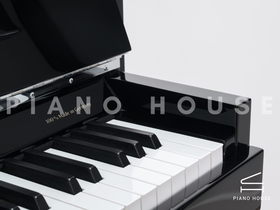 navy ostrich watch bands (4)