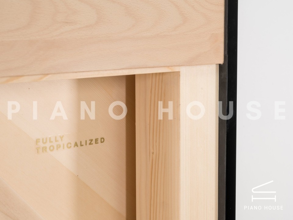 navy ostrich watch bands (4)