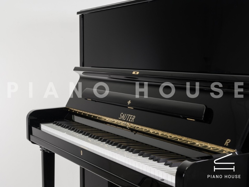 navy ostrich watch bands (4)