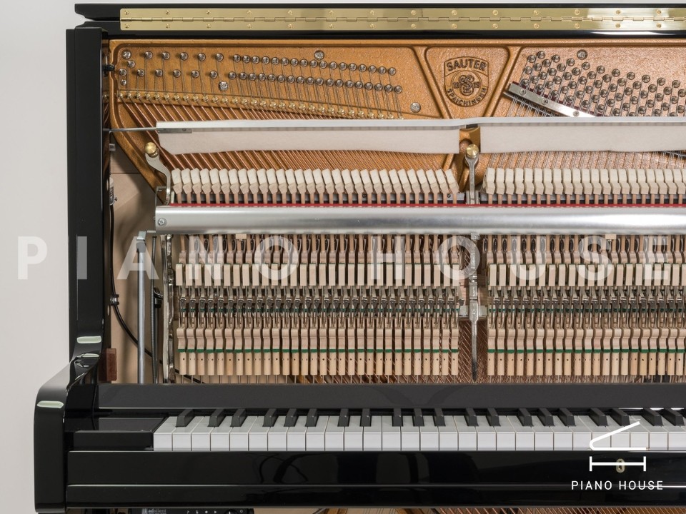 navy ostrich watch bands (4)