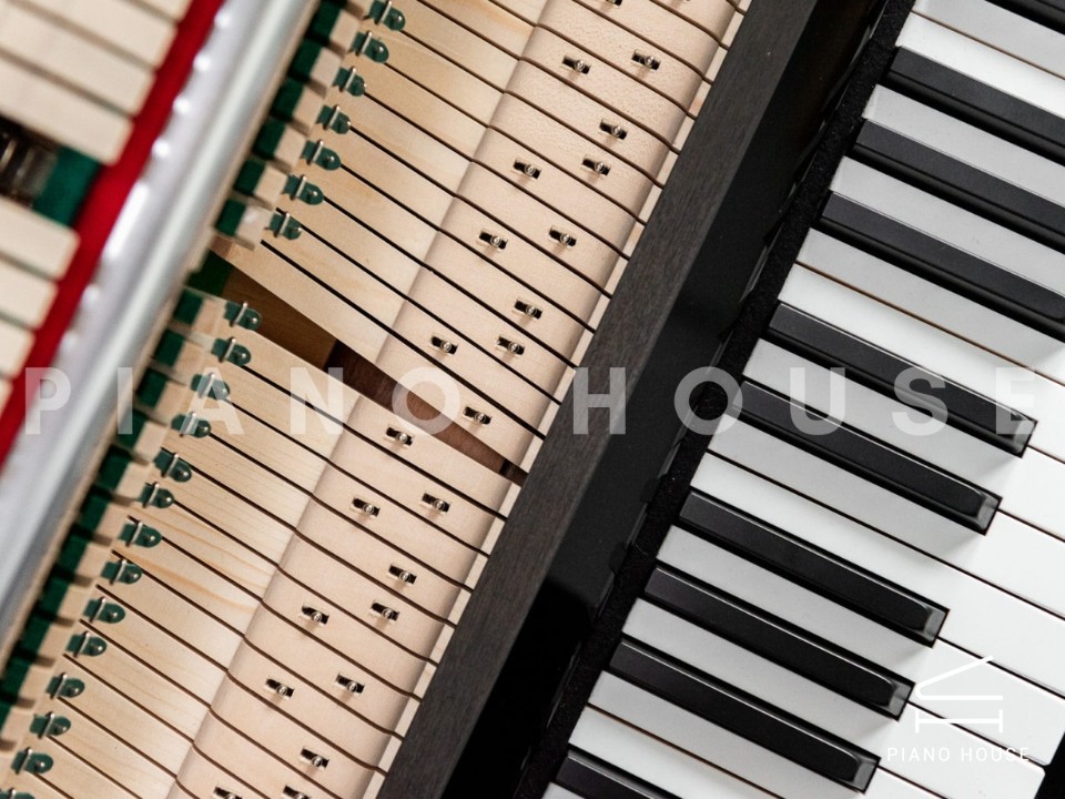 navy ostrich watch bands (4)