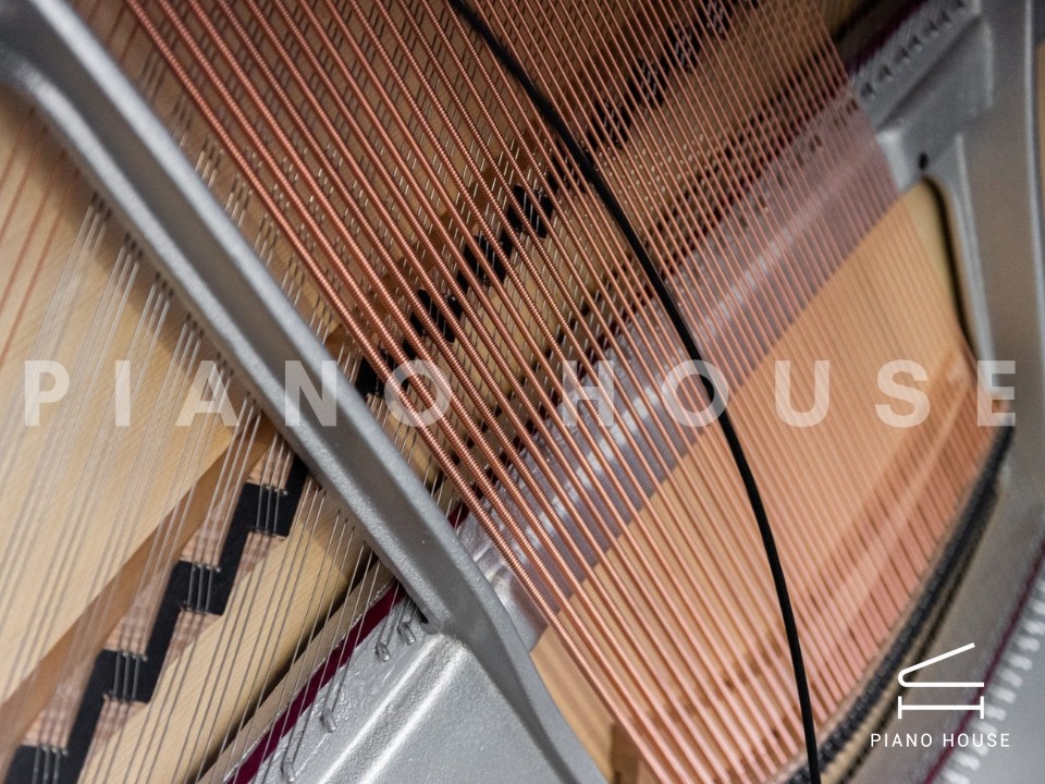 navy ostrich watch bands (4)